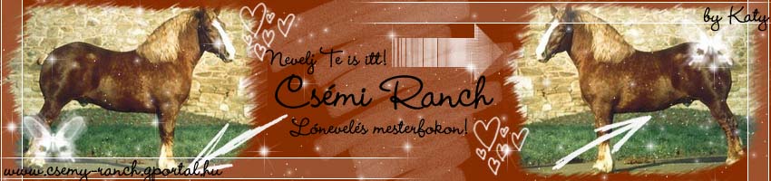 Csmy Ranch - Lnevels mesterfokon!